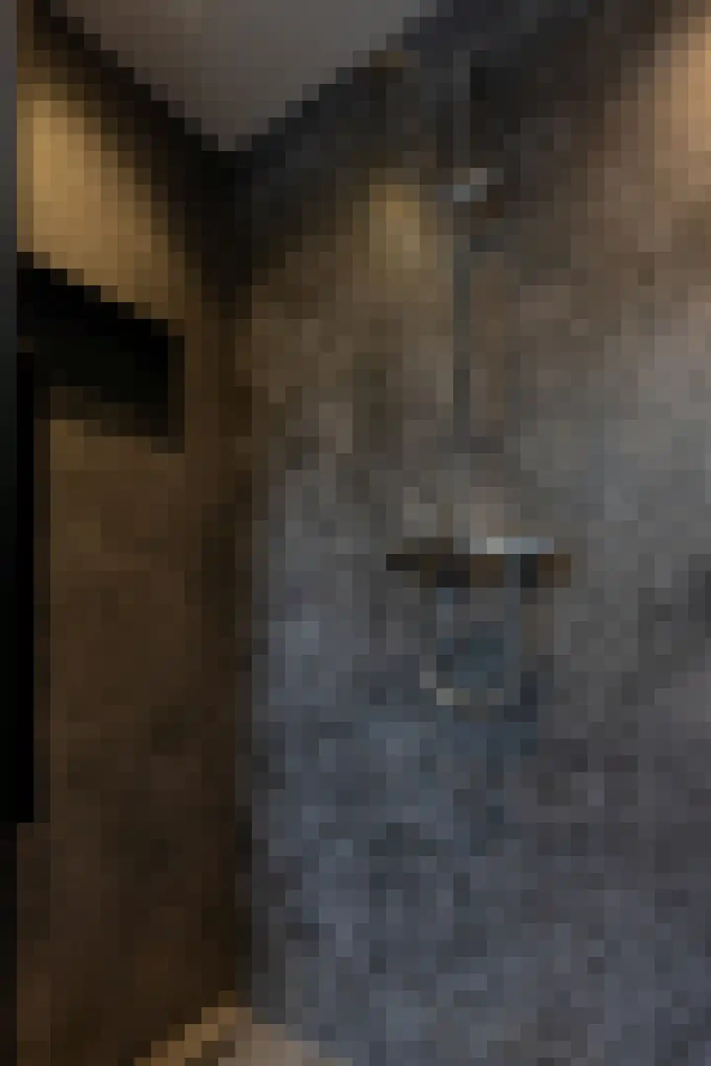 Biezendreef 10 Putte thumbnail 27