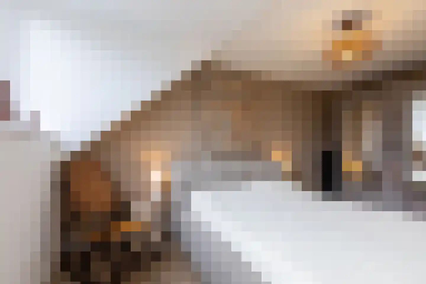 Biezendreef 10 Putte thumbnail 35