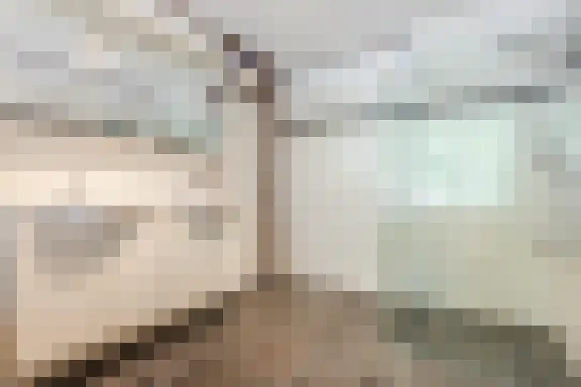 Biezendreef 24 Putte thumbnail 21