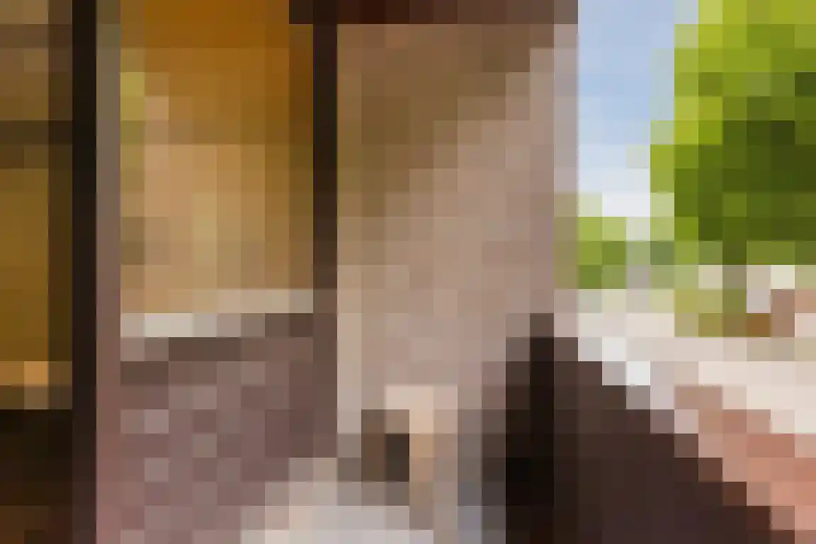 Biezendreef 24 Putte thumbnail 24