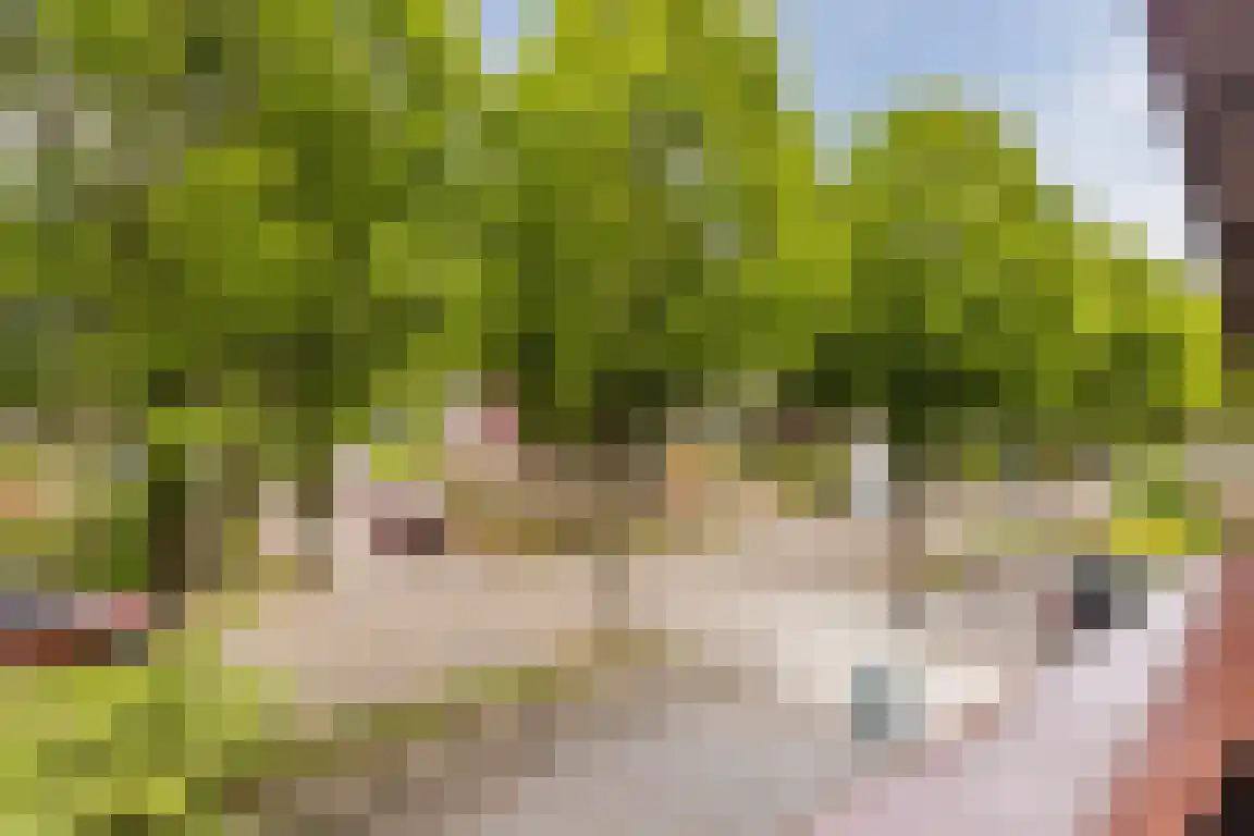 Biezendreef 24 Putte thumbnail 25