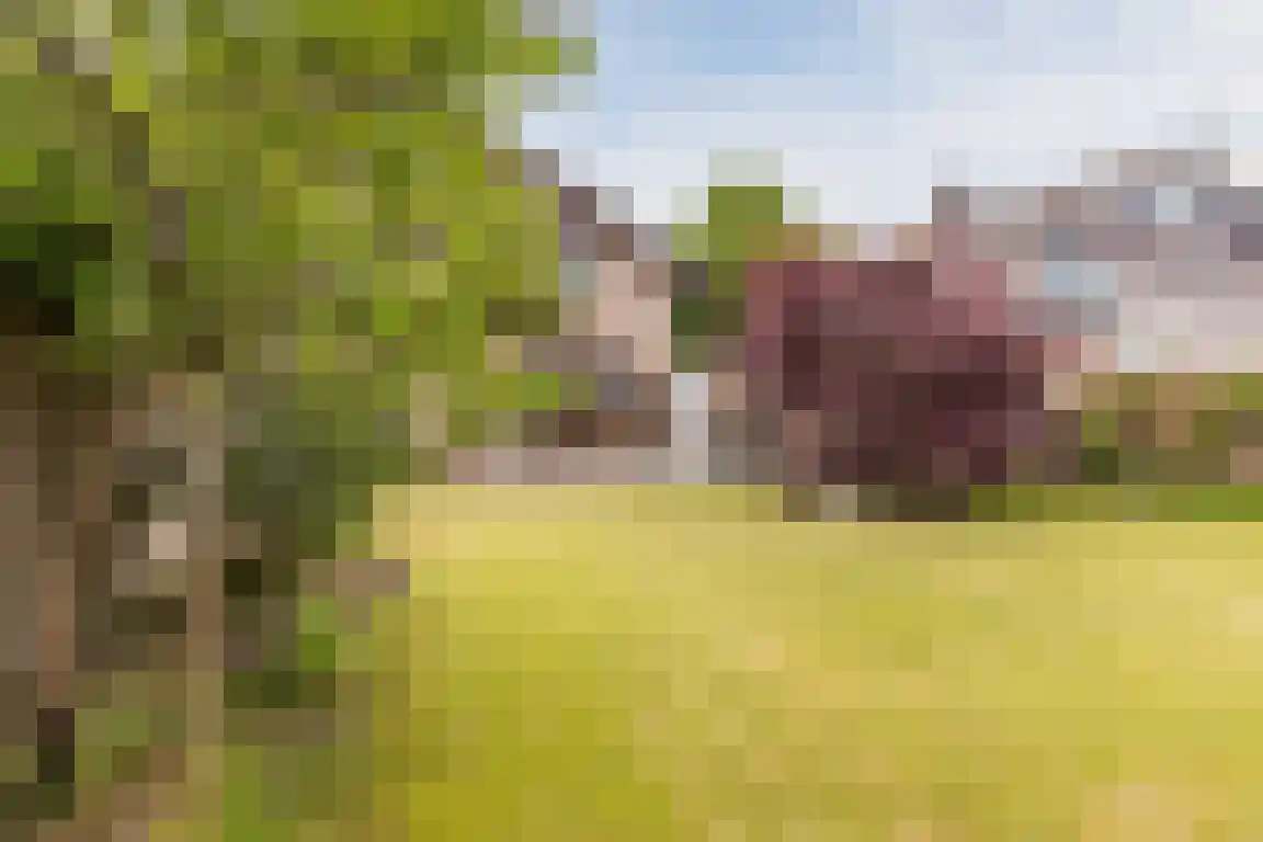 Biezendreef 24 Putte thumbnail 35