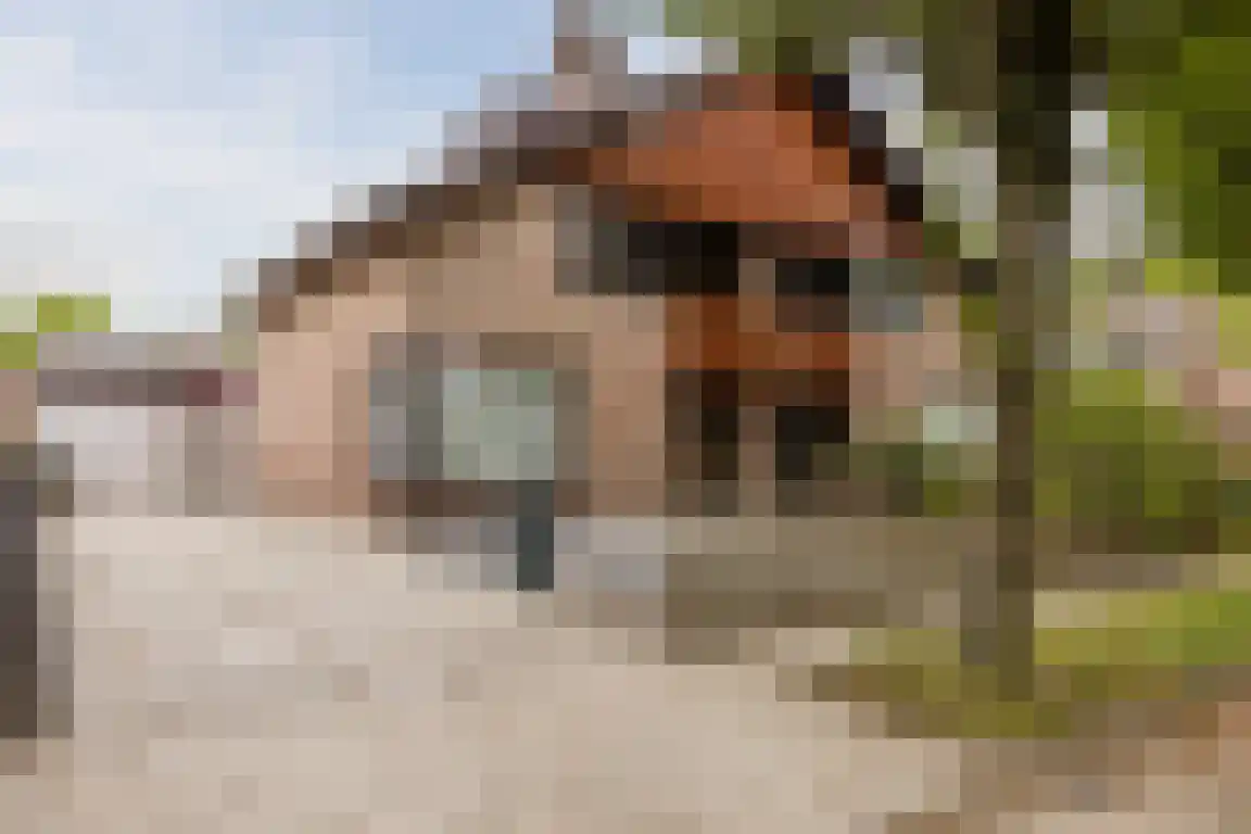 Biezendreef 24 Putte thumbnail 37
