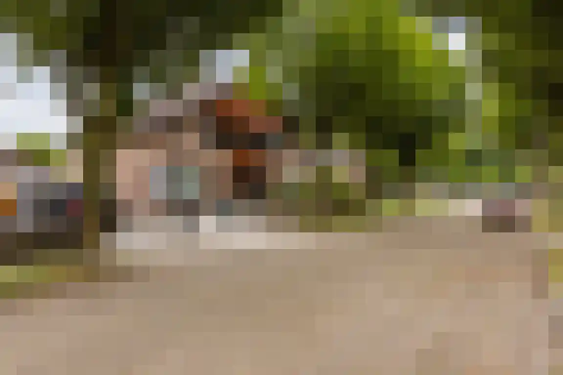 Biezendreef 24 Putte thumbnail 39