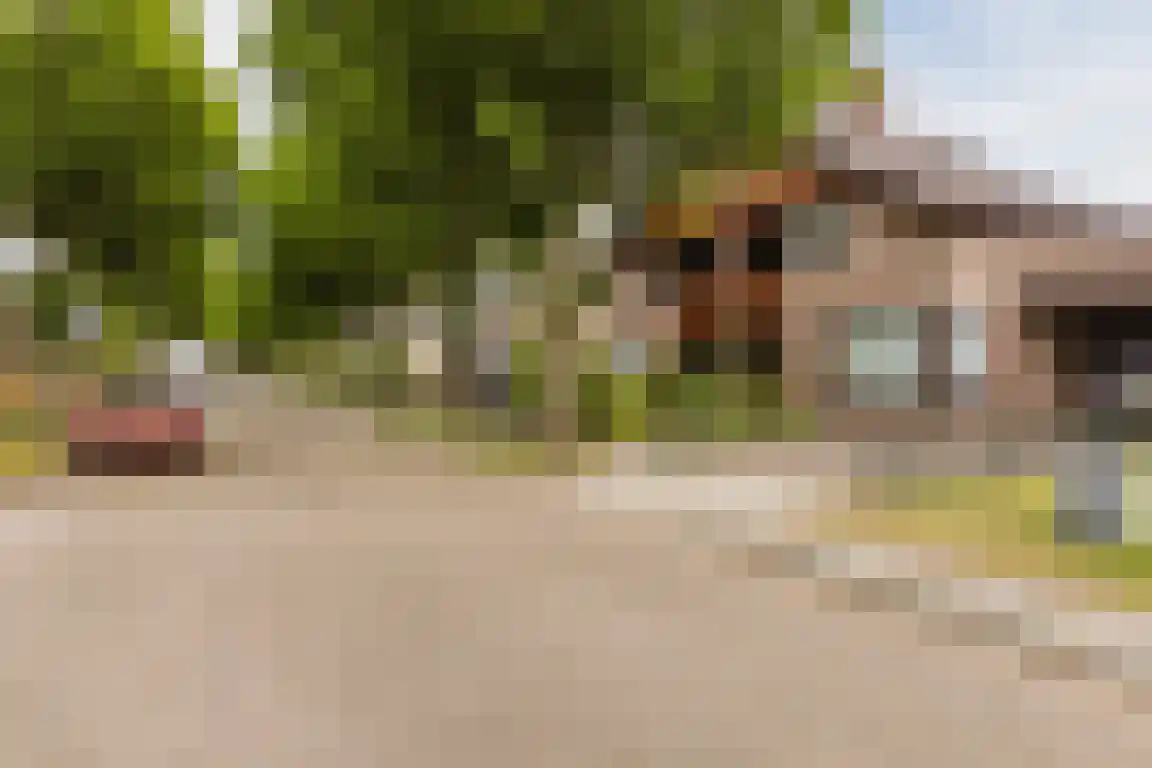 Biezendreef 24 Putte thumbnail 40