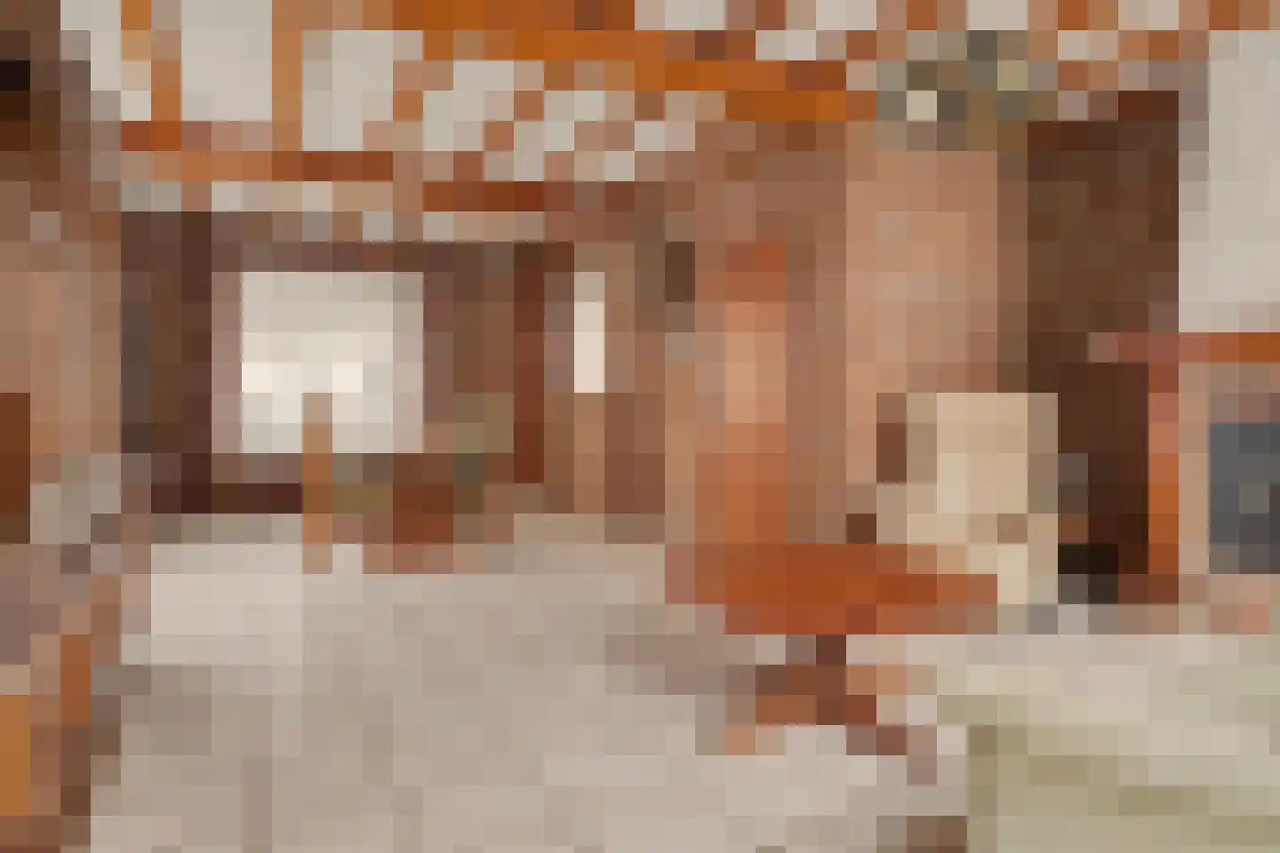 Biezendreef 41 Putte thumbnail 10