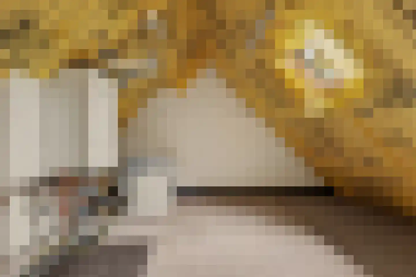 Biezendreef 41 Putte thumbnail 27