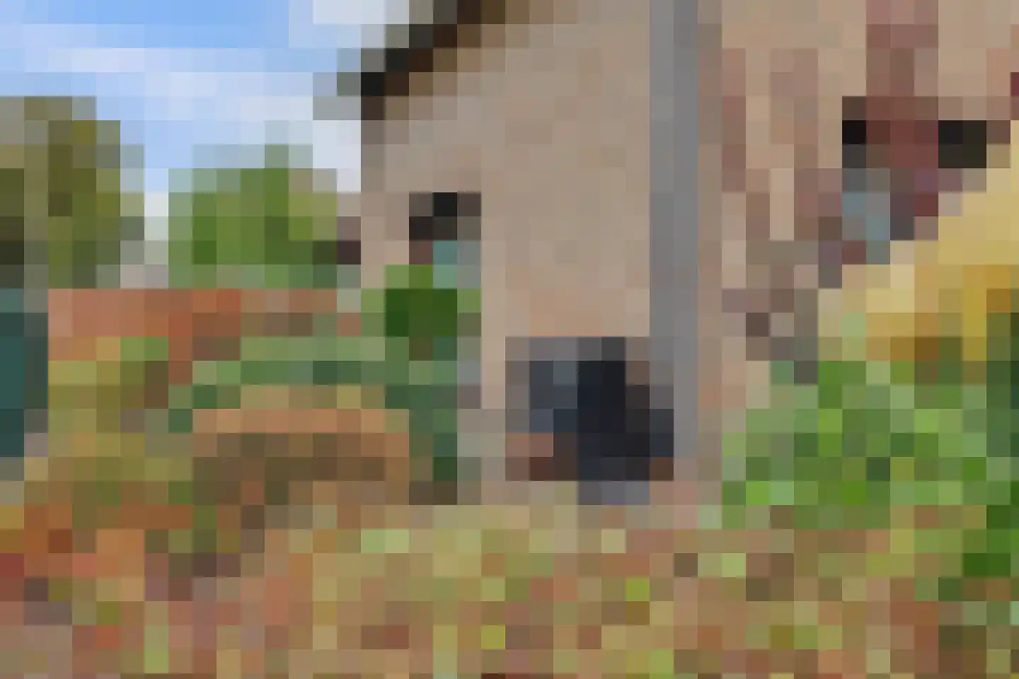 Biezendreef 41 Putte thumbnail 30
