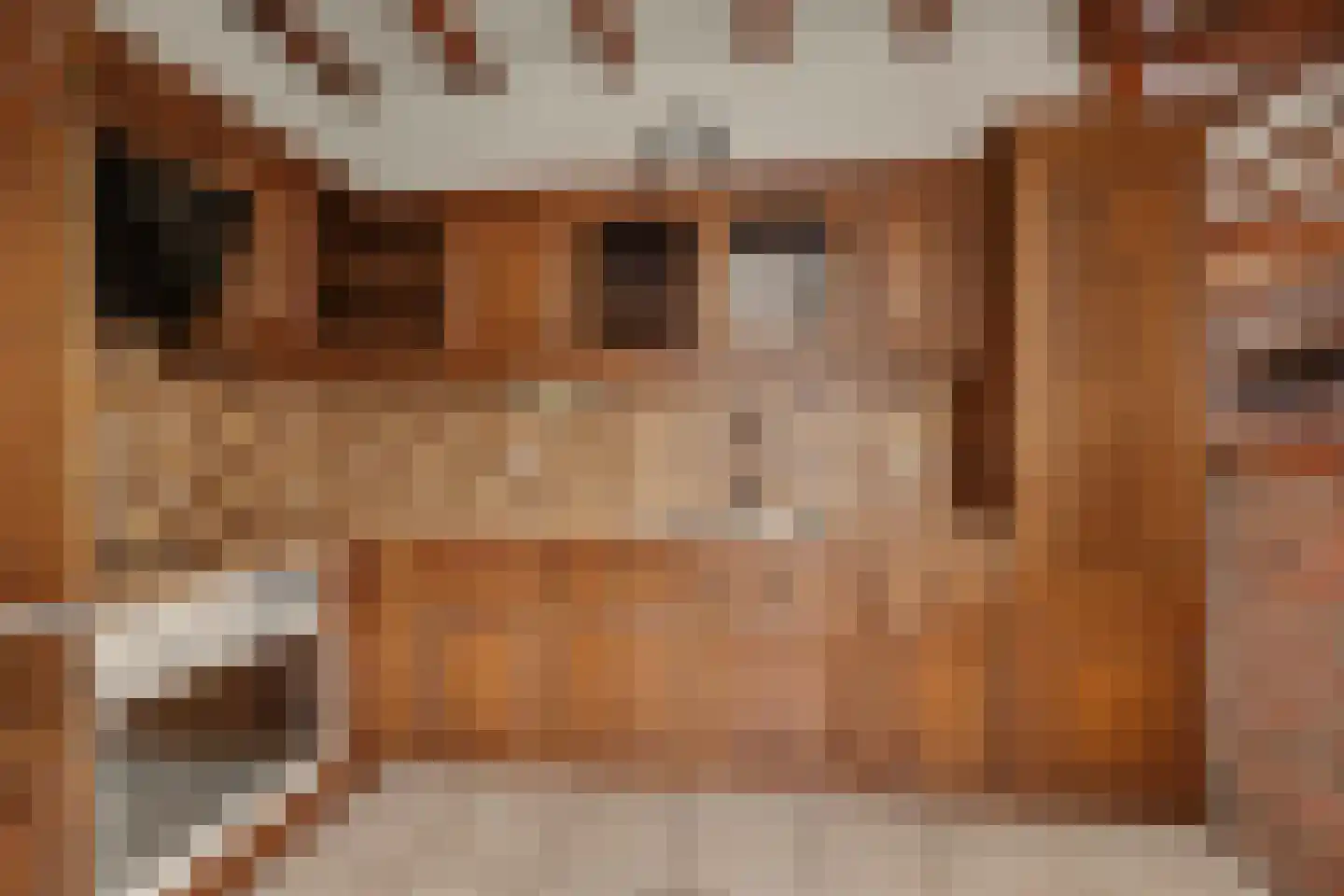 Biezendreef 41 Putte thumbnail 7