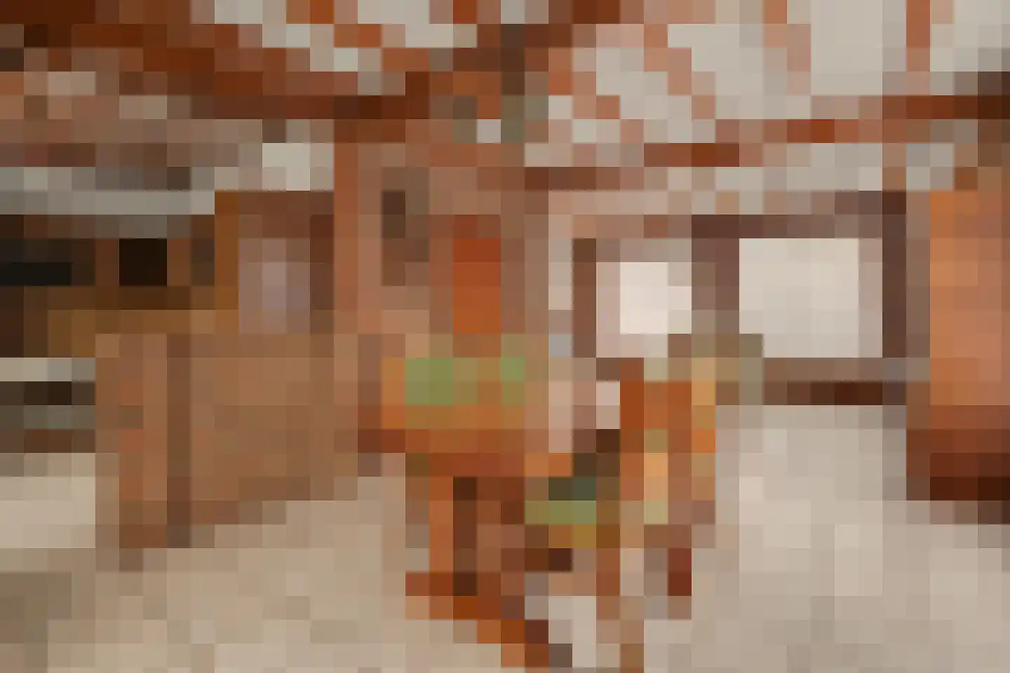 Biezendreef 41 Putte thumbnail 9