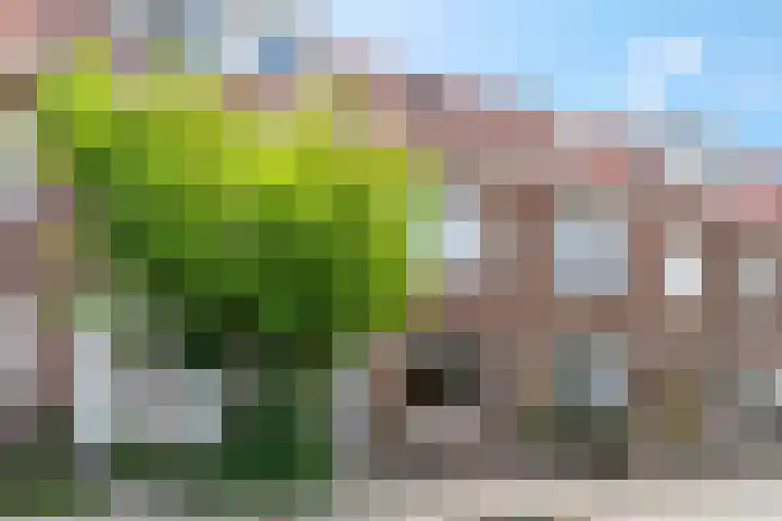 Biezendwarsstraat 48 Nijmegen thumbnail 8