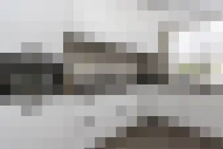 Biezengors 13 Werkendam thumbnail 24