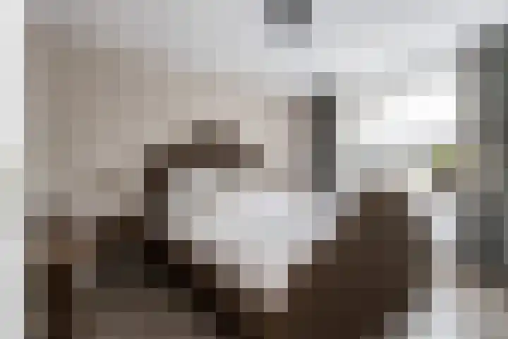 Biezengors 13 Werkendam thumbnail 38