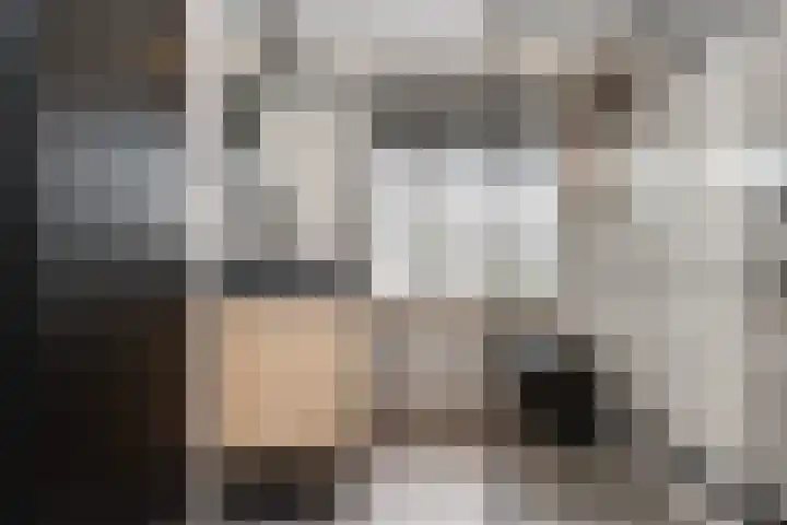 Biezengors 13 Werkendam thumbnail 4
