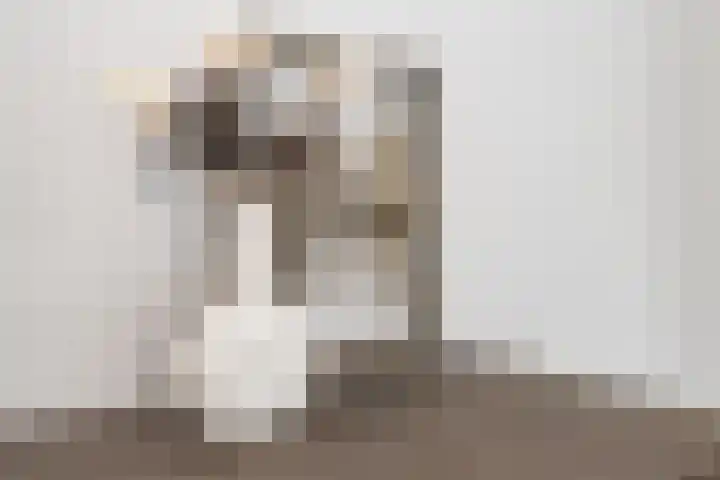 Biezengors 13 Werkendam thumbnail 42