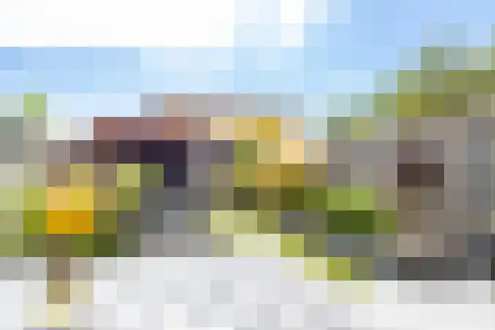 Biezengors 13 Werkendam thumbnail 58