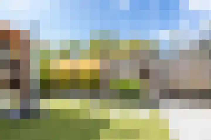 Biezengors 13 Werkendam thumbnail 59
