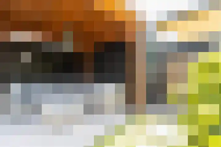 Biezengors 13 Werkendam thumbnail 60