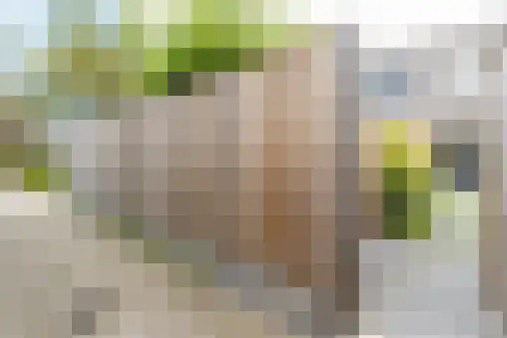 Biezengors 13 Werkendam thumbnail 62