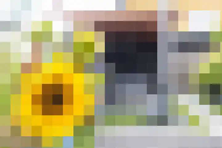 Biezengors 13 Werkendam thumbnail 63