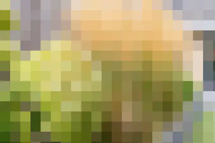 Biezengors 13 Werkendam thumbnail 64