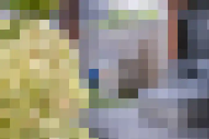 Biezengors 13 Werkendam thumbnail 65