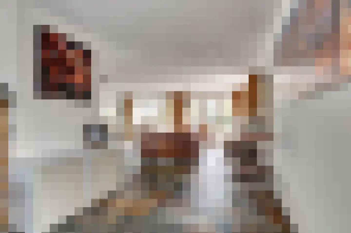 Biezengors 52 Werkendam thumbnail 12