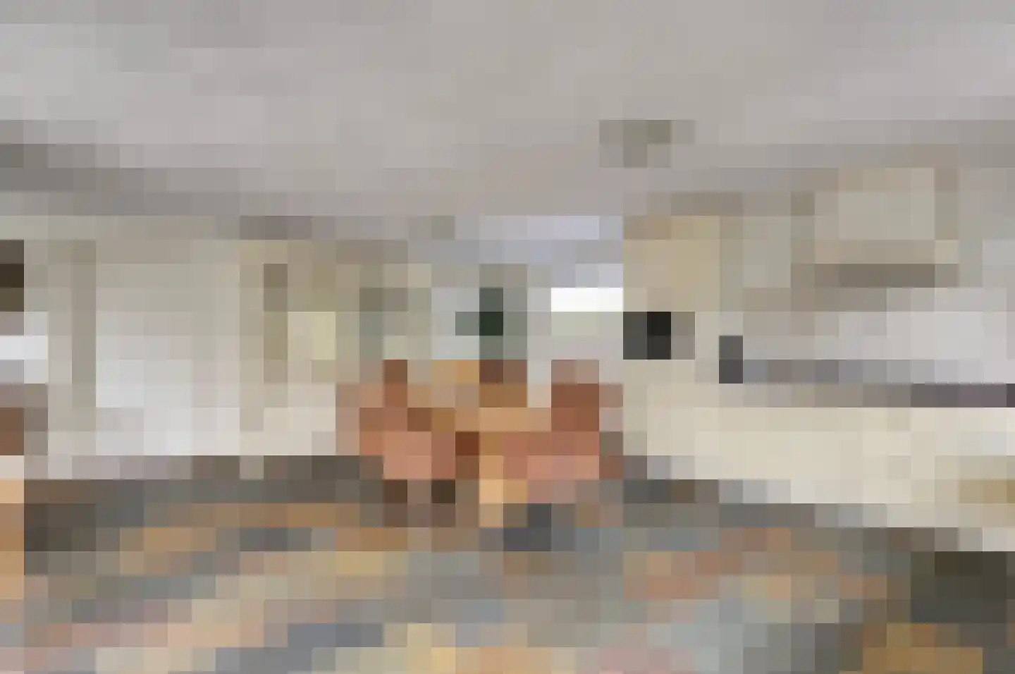 Biezengors 52 Werkendam thumbnail 15