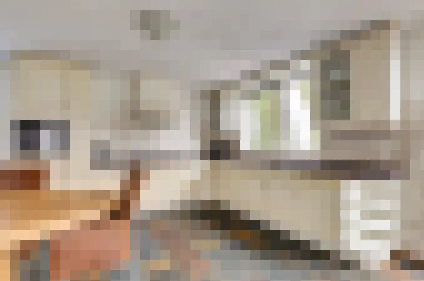 Biezengors 52 Werkendam thumbnail 17