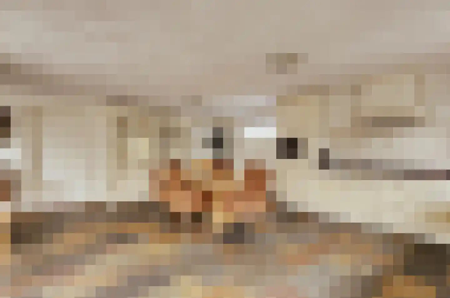 Biezengors 52 Werkendam thumbnail 20