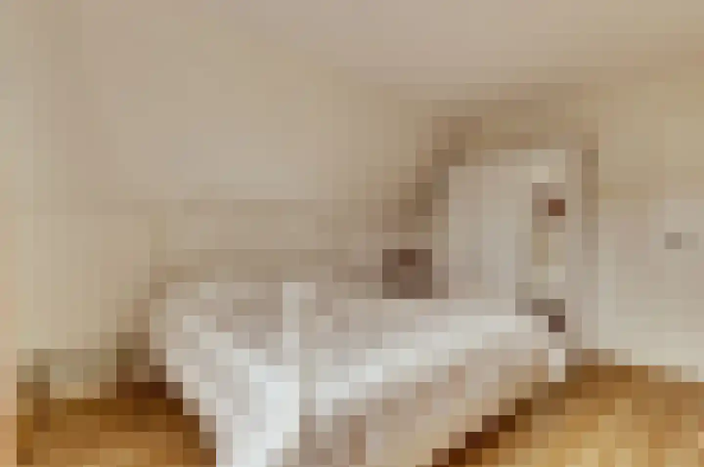 Biezengors 52 Werkendam thumbnail 32