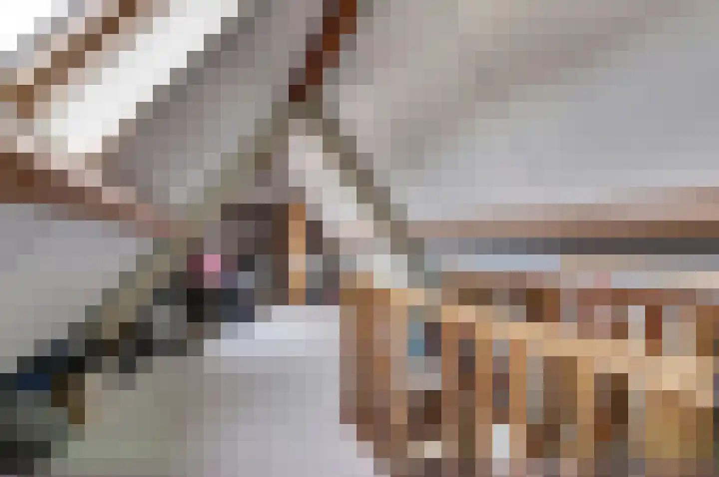 Biezengors 52 Werkendam thumbnail 32
