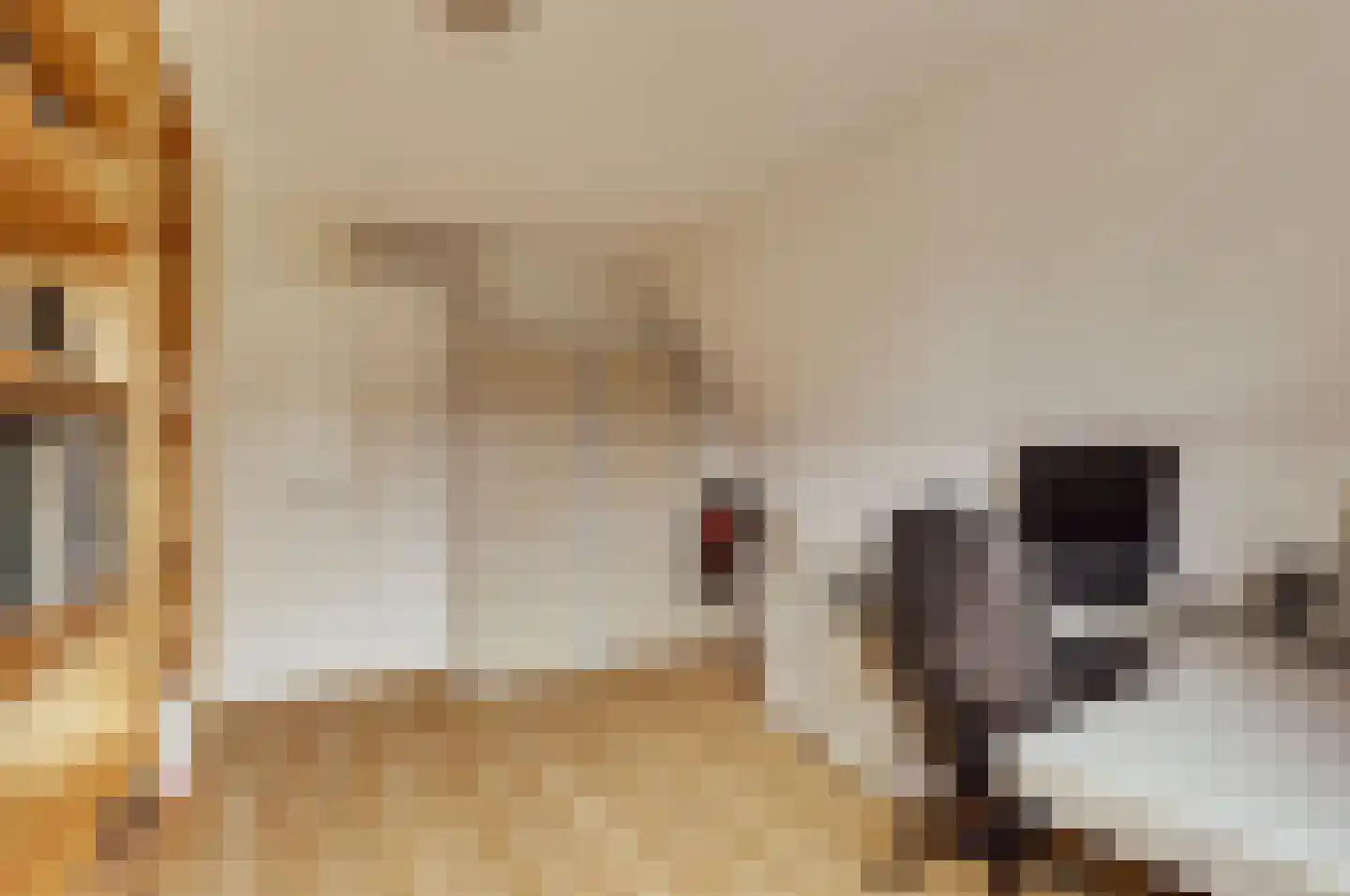 Biezengors 52 Werkendam thumbnail 35