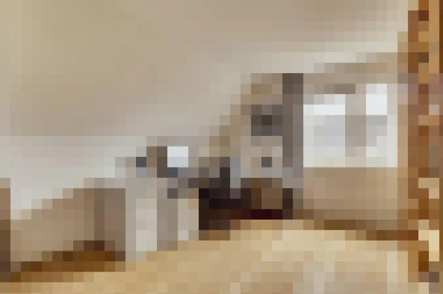 Biezengors 52 Werkendam thumbnail 36