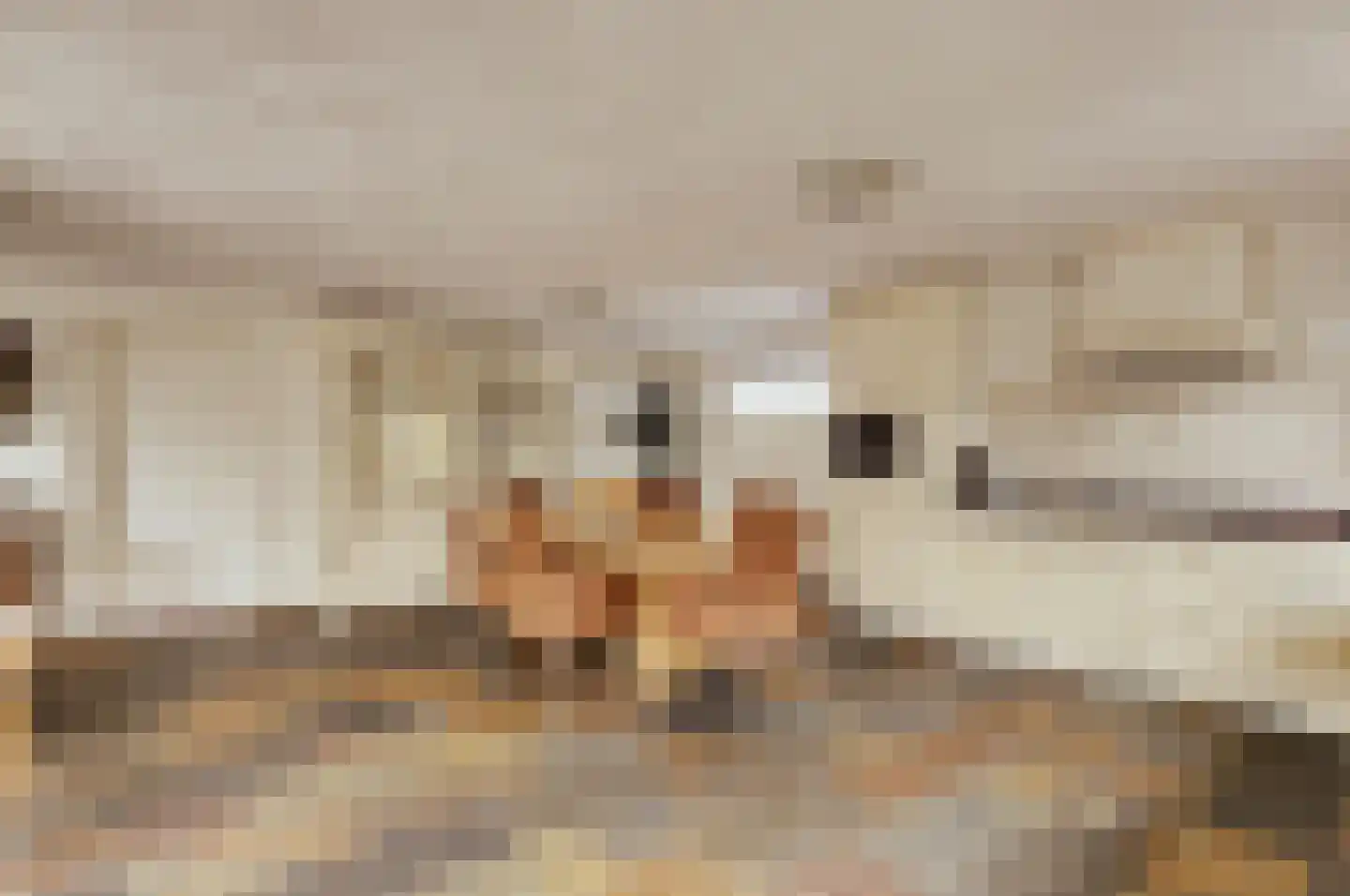 Biezengors 52 Werkendam thumbnail 4