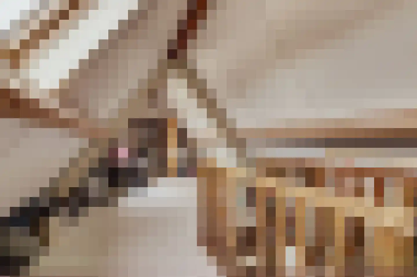 Biezengors 52 Werkendam thumbnail 42