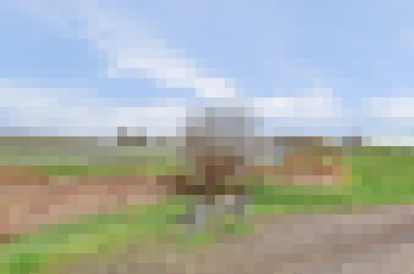 Biezengors 52 Werkendam thumbnail 46