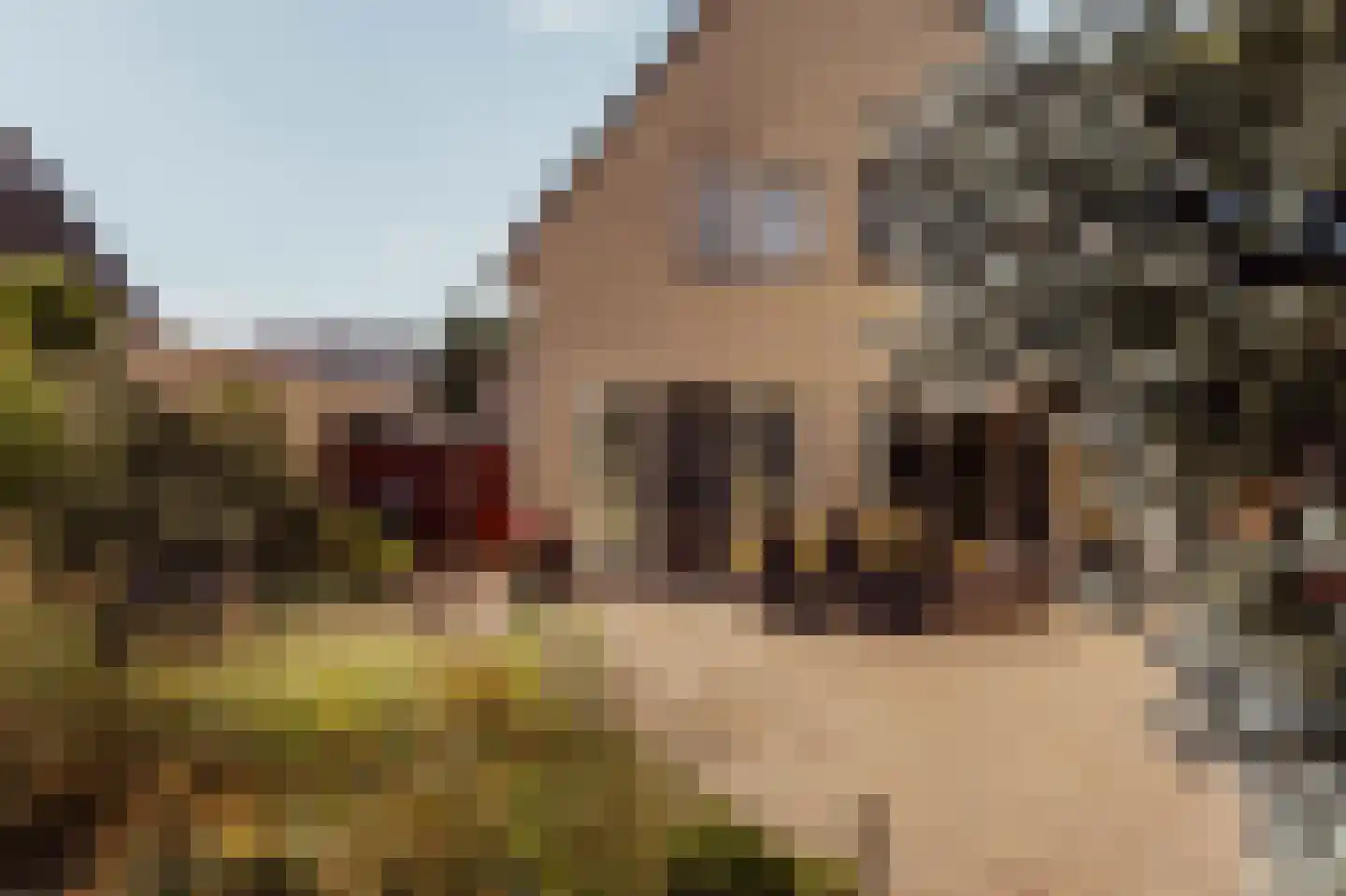 Biezengors 52 Werkendam thumbnail 49
