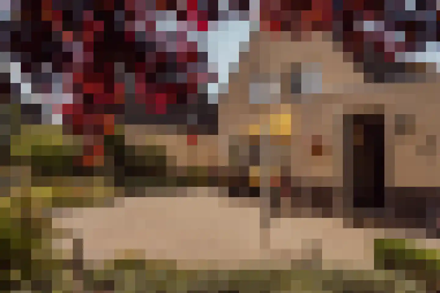 Biezengors 52 Werkendam thumbnail 50