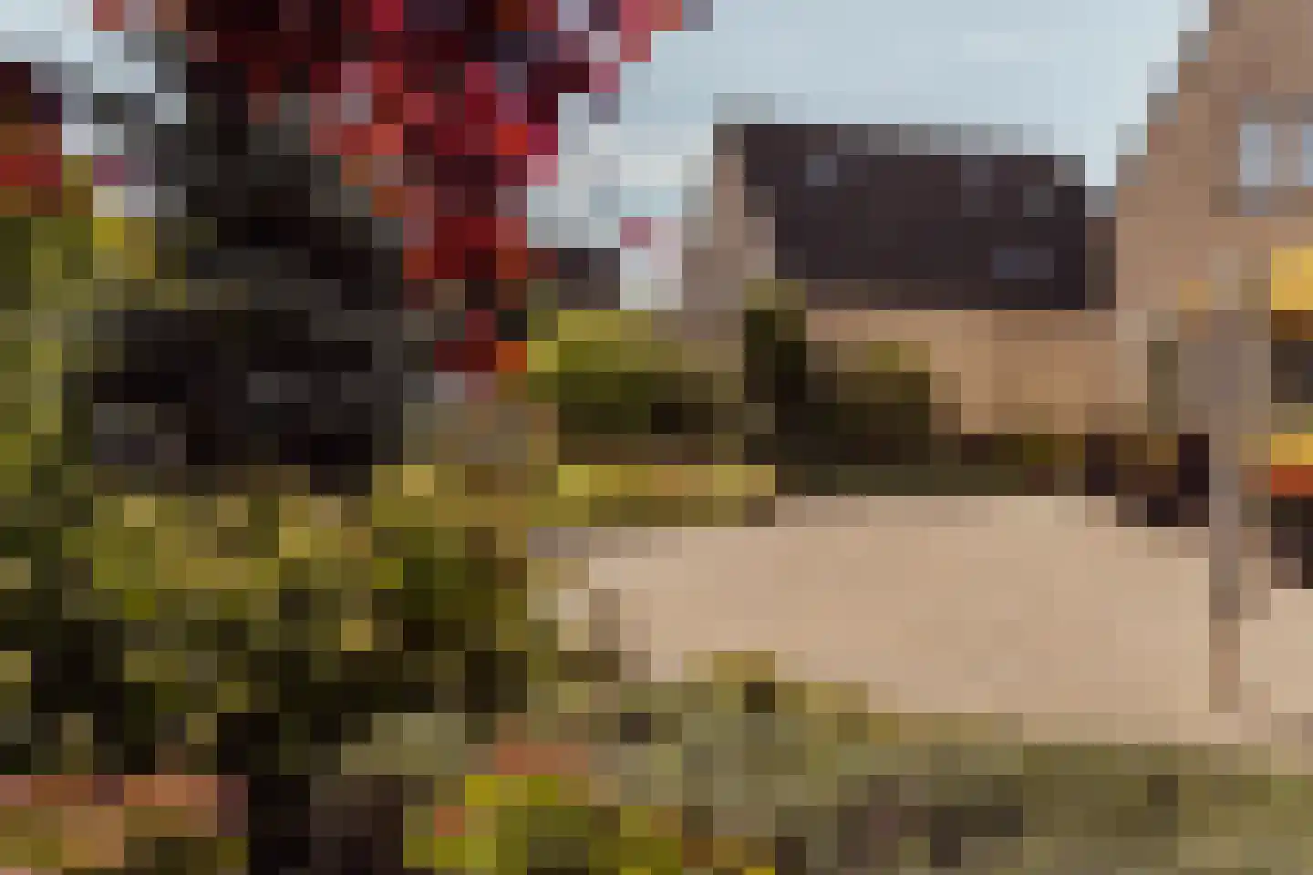 Biezengors 52 Werkendam thumbnail 51