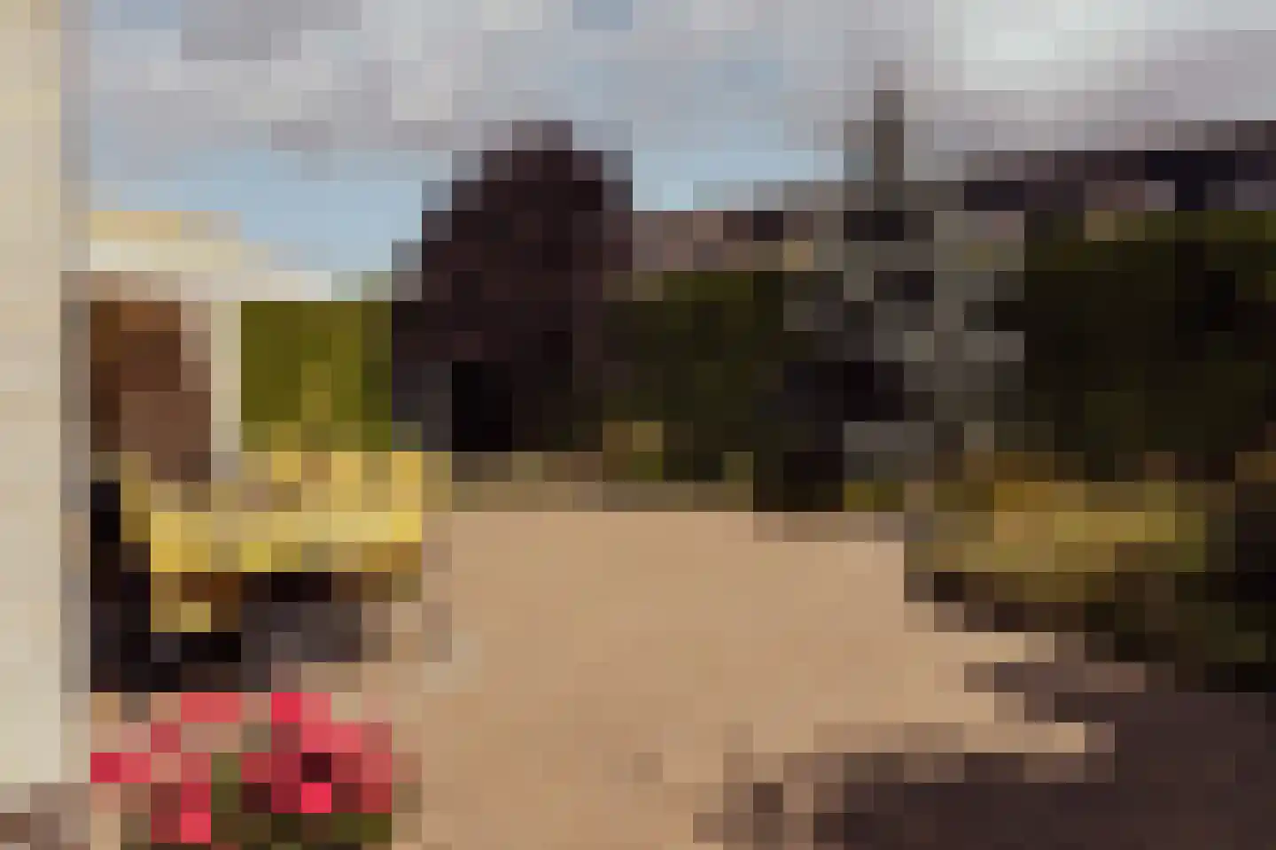 Biezengors 52 Werkendam thumbnail 53