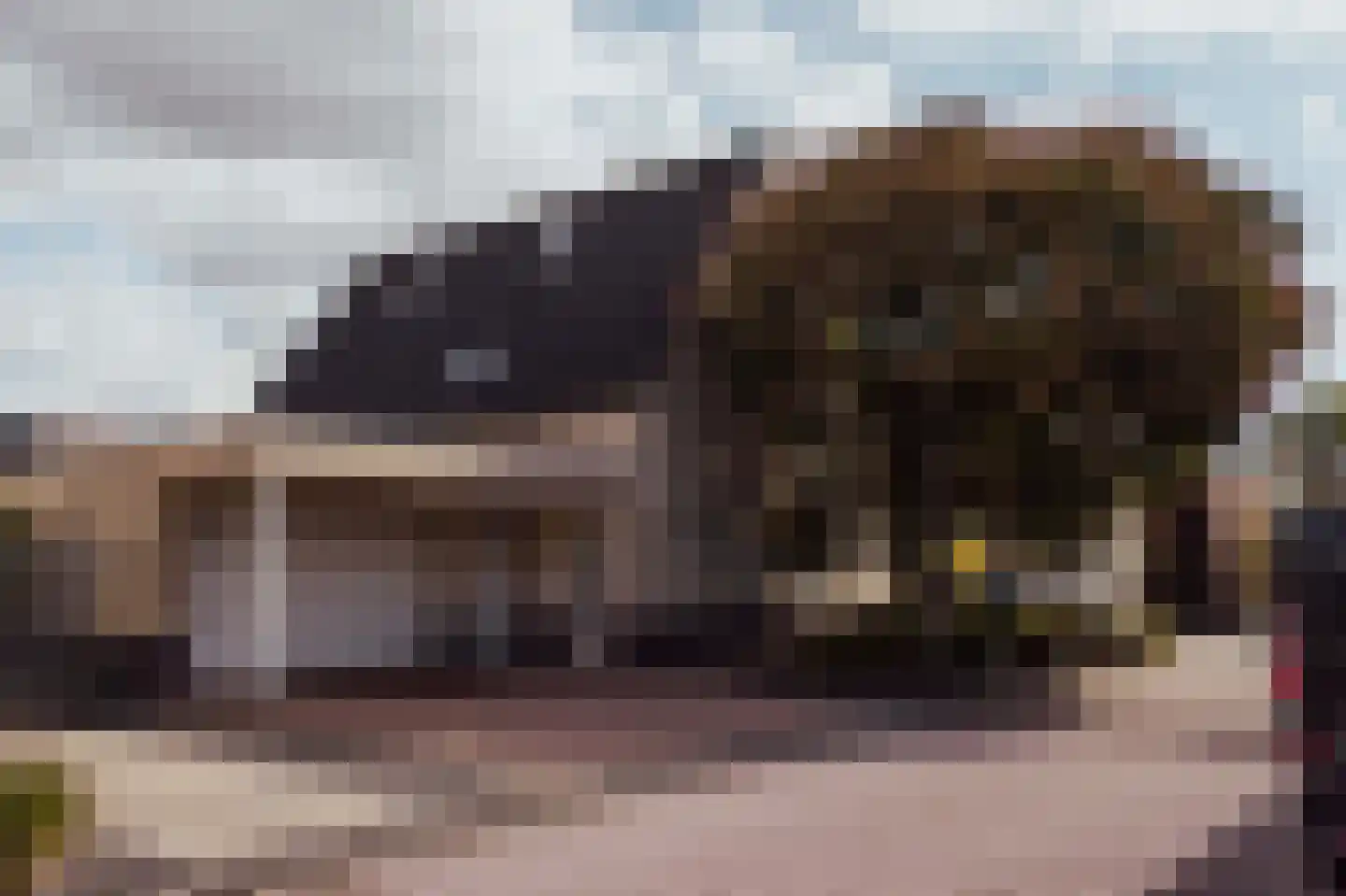 Biezengors 52 Werkendam thumbnail 55