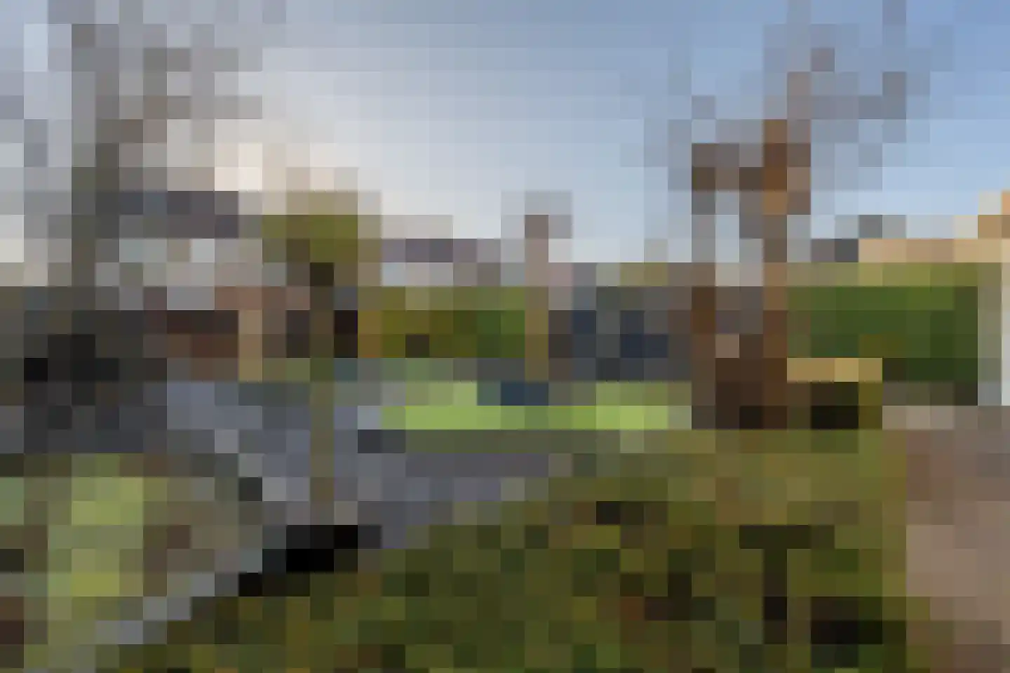 Biezengors 60 Puttershoek thumbnail 23
