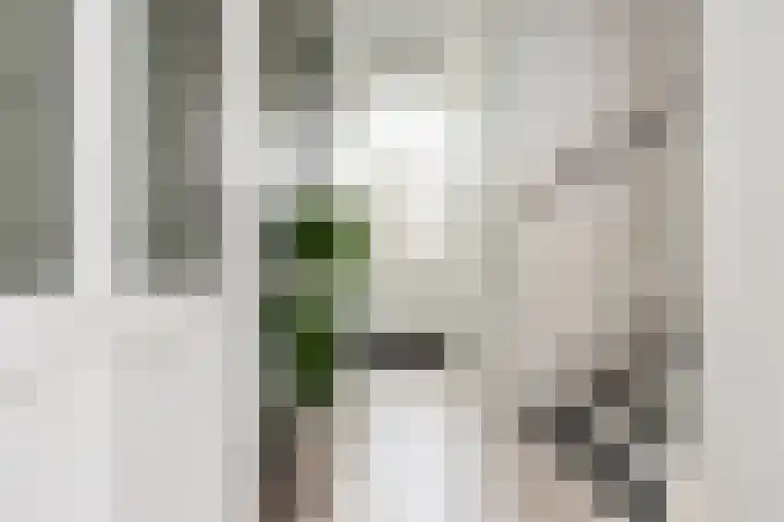 Biezengors 9 Werkendam thumbnail 13