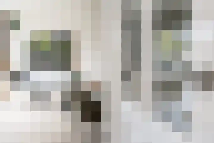 Biezengors 9 Werkendam thumbnail 15