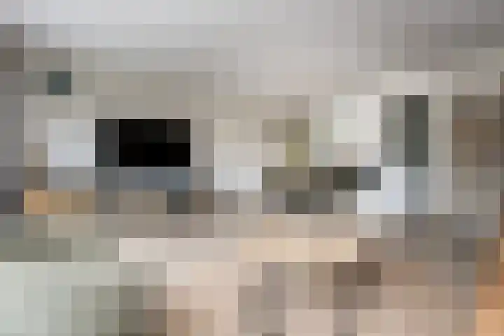 Biezengors 9 Werkendam thumbnail 20