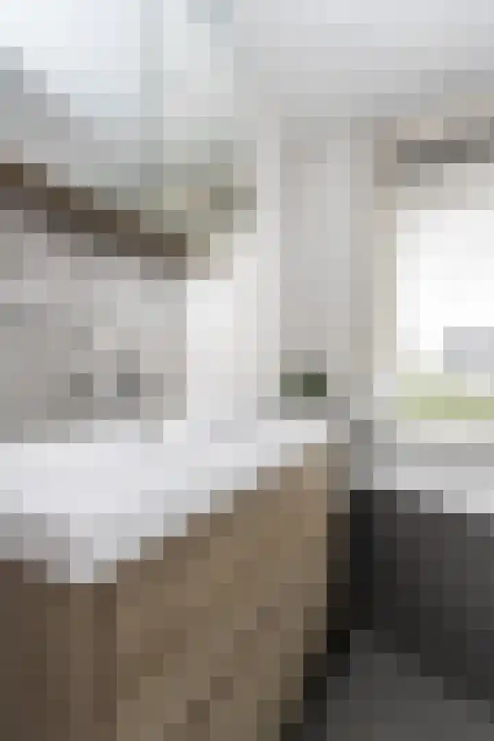 Biezengors 9 Werkendam thumbnail 47