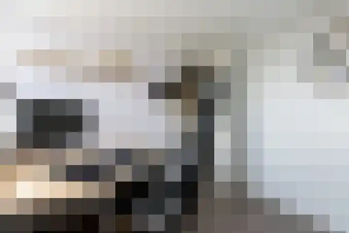 Biezengors 9 Werkendam thumbnail 56