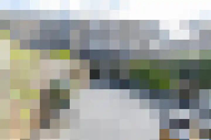 Biezengors 9 Werkendam thumbnail 59