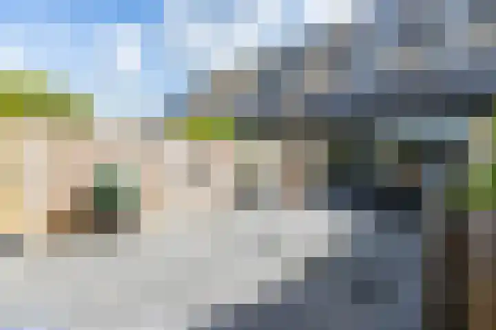 Biezengors 9 Werkendam thumbnail 60